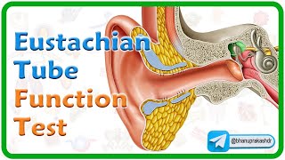 Eustachian Tube Function Tests Animation👂 ENT lectures MBBS 3rd year [upl. by Obed]