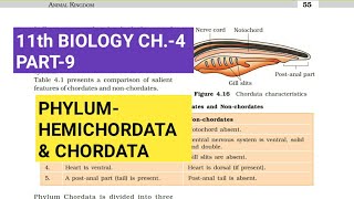 Class 11 BiologyCh4 Part9PhylumHemichordata amp ChordataStudy with Farru [upl. by Petrina497]