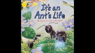 Its an Ants Life Read Aloud by Steve Parker [upl. by Elwina]