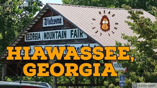 Georgia Mountain Fair 2021  Hiawassee Georgia [upl. by Brenan]