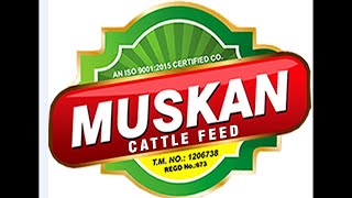 Muskan Cattle Feed Raikot  12va Lucky Draw  17 November 2024 [upl. by Wane]