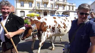 Alpabzug 2019 Plaffeien [upl. by Madanhoj]