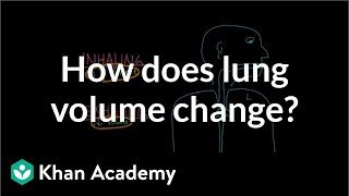 How does lung volume change  Respiratory system physiology  NCLEXRN  Khan Academy [upl. by Abramson]