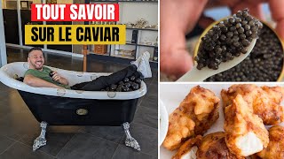 PAYS BAS  le MEILLEUR POISSON FRIT  je deviens incollable sur le CAVIAR [upl. by Eshman]