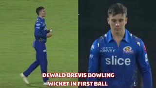 Dewlad Brevis Get Wicket In His First Ball  Dewald Brevis Bowling  Dewald Brevis Dedut Wicket [upl. by Shum992]