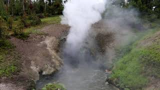 Dragons Mouth Spring in Yellowstone National Park [upl. by Rosaleen]