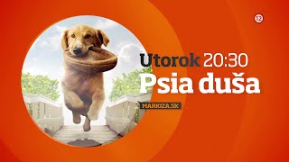 Psia duša  v utorok 22 12 2020 o 2030 na TV Markíza [upl. by Nodnrb610]