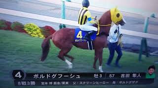 ボルドグフーシュ菊花賞2022の本馬場入場ボルドグフーシュ [upl. by Courtnay]