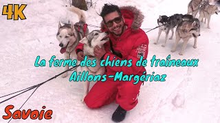 La ferme des chiens de traîneaux AillonsMargériaz 2020 [upl. by Attecnoc]