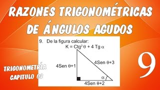 RAZONES TRIGONOMÉTRICAS DE ÁNGULOS AGUDOS I  TRIGONOMETRÍA CAPÍTULO 03 EJERCICIO 09 [upl. by Calore]