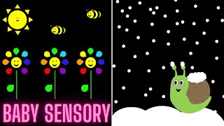 Baby Sensory Video  Seasons  High Contrast Colours Classical Music and Fun Animation [upl. by Margit]