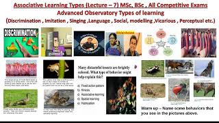 From Imitation to Innovation Advanced Observational Learning in Animal Kingdomanimals zoologymsc [upl. by Noitsuj]