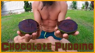 THE BLACK SAPOTE AKA CHOCOLATE PUDDING FRUIT  KNOW YOUR FRUITS [upl. by Allicserp]