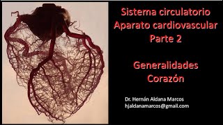 Sistema circulatorio o vascular Parte 2 de Hernán Aldana Marcos Mañana sigo subiendo los otros [upl. by Ynahpets]