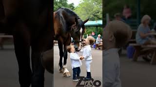 Thoroughbred horse playing with children 🐎 [upl. by Parrnell]