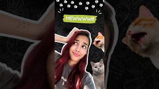 ✅IMITANDO SONIDOS DE GATOS🐱 cat funny sonido funnymoments [upl. by Namhar]