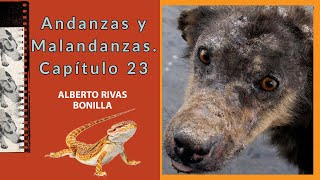 El perro Nerón y la Lagartija de la discordia Andanzas y Malandanzas capítulo XXIII [upl. by Meris]