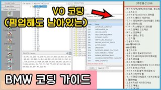 BMW 코딩하기 9탄 VO 코딩 [upl. by Leamhsi]