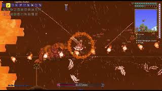 Expert Mode Yharon Full Fight Calamity [upl. by Anatola]