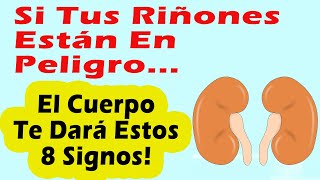 SI TUS RIÑONES ESTÁN EN PELIGRO EL CUERPO TE DARÁ ESTOS 8 SIGNOS [upl. by Nnhoj]