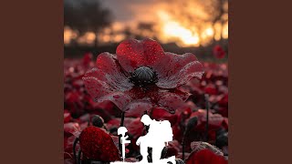 Remembrance Day Fallen Soldiers [upl. by Niamreg62]