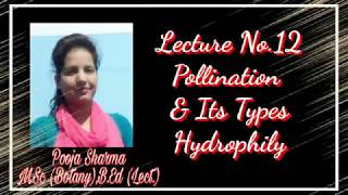 Lecture No12 Pollination amp Its Types Hydrophily For Class 12th Botany By Pooja Mam [upl. by Aknahs]