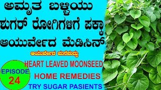 ಶುಗರ್ ಇರುವಂತವರು ಮಾತ್ರ ನೋಡಿ Ayurveda tips Kannada  Mane Maddu Sugar patient home remedie Diabetes [upl. by Ahsilrae]