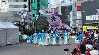 【四街道 舞謳歌】東京よさこい2024 池袋西口駅前メイン会場 dance yosakoi 池袋 IMG3536 [upl. by Messab]