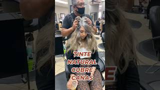 TINTE NATURAL PARA CUBRIR EL PELO BLANCO DE UNA MANERA EFICAZ🩶 Lulytips shortsyoutube [upl. by Gothart]