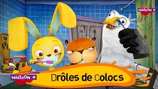 DRÔLES DE COLOCS  Tes nouveaux héros débarquent sur TéléTOON [upl. by Tikna]