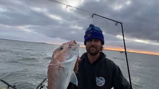 Cannot believe I broke my favourite rod on a Westernport Snapper [upl. by Bertle]