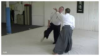 Aikido Oldham 2010 [upl. by Assile]