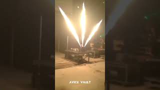 Fire at Aviciis show in Toronto True Tour  Rogers Centre May 2014 [upl. by Meneau]