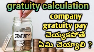 company not paying gratuity legal notice to employersowjanya lawyer in telugu [upl. by Phil704]