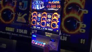 Huge jackpot Cash Bull [upl. by Consalve]