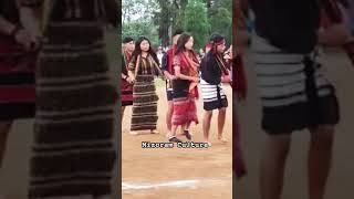 Mizo Traditional dance 🪩 [upl. by Gherardi]