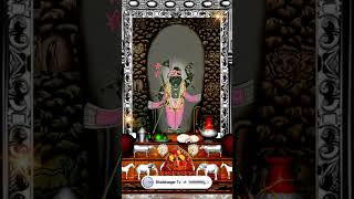 Aaj Ka Darshan Vaishakh Shukla Ashtami 16 May 2024  Shrinathji ke Darshan [upl. by Thom912]