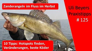 Zander angeln 10 Tipps für Zander im Herbst im Fluss [upl. by Zachar]