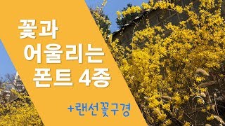 봄분위기 나면서 쓰기 좋은 폰트 4종 추천 [upl. by Clyte]