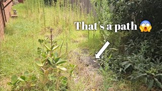 NEGLECTED for MONTHS Overgrown lawn path reveal and more  part 2 of 2 [upl. by Ahsimac]