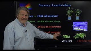 Toward an Optimal Spectral Quality for Plant Growth and Development [upl. by Atteuqal584]