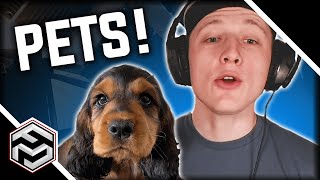 REACTING TO THE ADORABLE PETS OF MY COMMUNITY [upl. by Alodi]