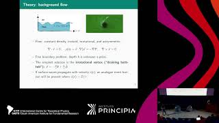 Maurício Richartz Superradiance and ergoregion instabilities in vortices [upl. by Gable]