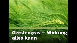 Gerstengras  Lebensmittel mit Superfood Wirkung [upl. by Enitsej]