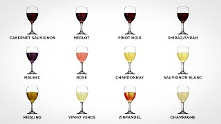 Every Wine Explained in 10 minutes Part 1 [upl. by Hulton]