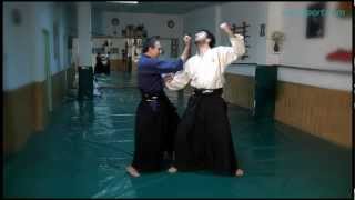 Aikijujutsu 7 Defensa de un agarre frontal [upl. by Noerb]