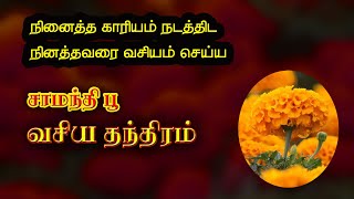 சாமந்தி பூ வசிய தந்திரம் நினைத்த காரியம் சாதிக்க நினைத்தவரை வசியம் செய்ய  வசியம் செய்வது எப்படி [upl. by Theurich]