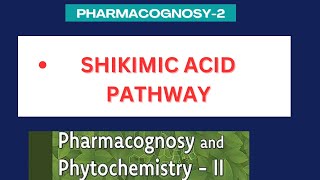 Shikimic acid pathway  significance of shikimic acid pathway  Pharmacognosy2 unit1 [upl. by Arita313]