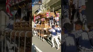 202382『尼崎だんじり祭り』神社に颯爽と向かう【南出】Amagasaki Danjiri Festivalquot Dashing to the shrine Minamide [upl. by Anauqal214]