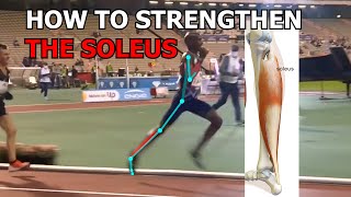 Running Exercises Getting the Soleus Stronger to RUN FASTER [upl. by Anav]